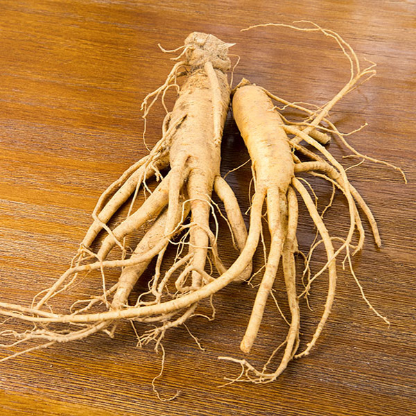 Panax Ginseng